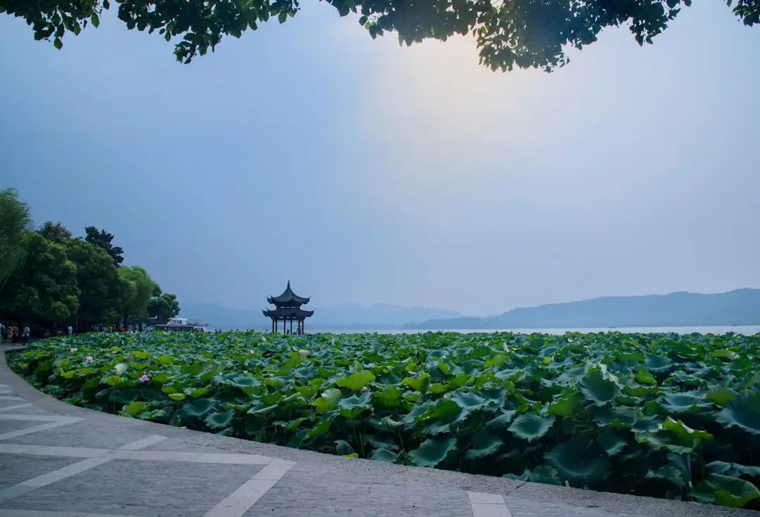 West Lake scenery in Hangzhou