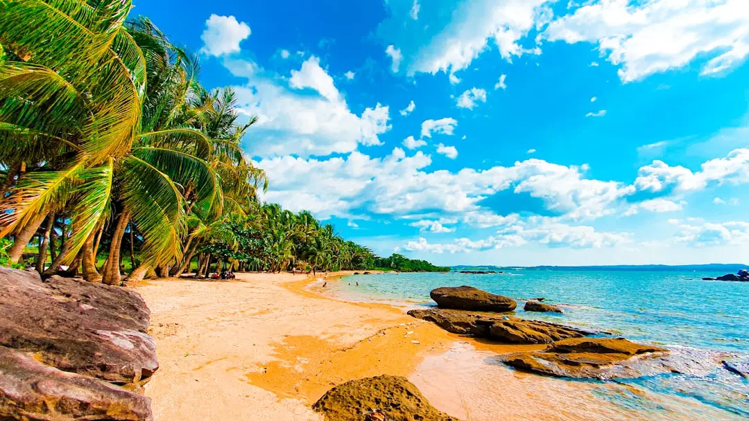 Tropical beach water and palms in Sanya